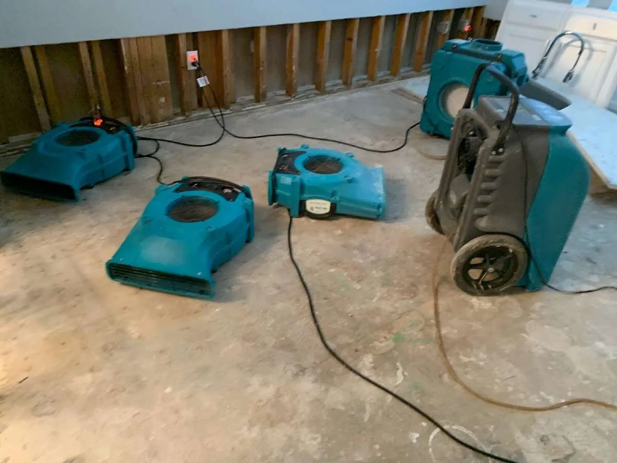 Flood Damage Cleanup in West Palm Beach, FL